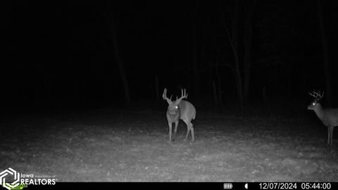 Tiny photo for TBD 185th Street, Mount Pleasant, IA 52641 (MLS # 6333467)