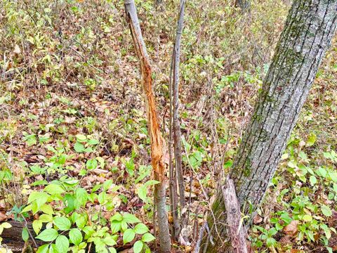 Tiny photo for TBD 185th Street, Mount Pleasant, IA 52641 (MLS # 6333467)