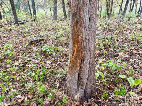 Tiny photo for TBD 185th Street, Mount Pleasant, IA 52641 (MLS # 6333467)