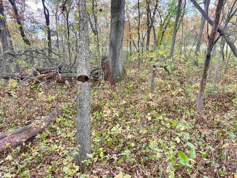 Tiny photo for TBD 185th Street, Mount Pleasant, IA 52641 (MLS # 6333467)