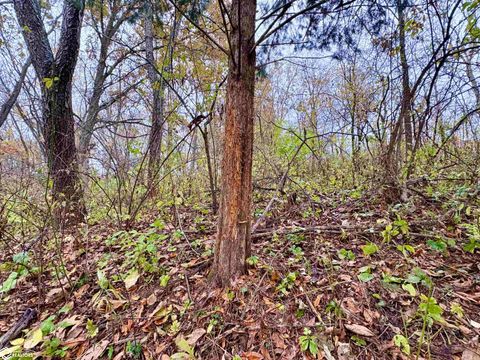 Tiny photo for TBD 185th Street, Mount Pleasant, IA 52641 (MLS # 6333467)