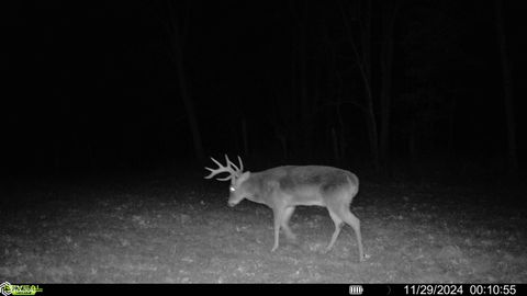 Tiny photo for TBD 185th Street, Mount Pleasant, IA 52641 (MLS # 6333467)