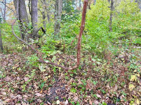 Tiny photo for TBD 185th Street, Mount Pleasant, IA 52641 (MLS # 6333467)