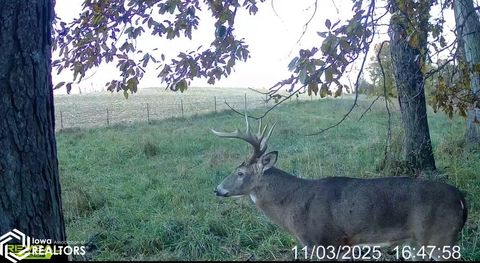 Tiny photo for TBD 185th Street, Mount Pleasant, IA 52641 (MLS # 6333467)