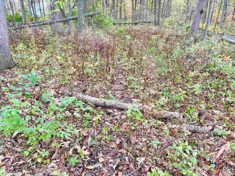 Tiny photo for TBD 185th Street, Mount Pleasant, IA 52641 (MLS # 6333467)