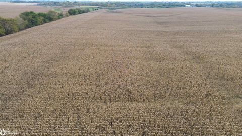 152 A Hwy 2 Bloomfield IA 52537