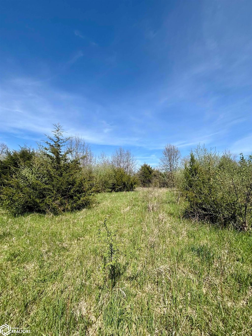Photo of River Road and Kentucky Avenue, Mount Pleasant, IA 52641 (MLS # 6337488)