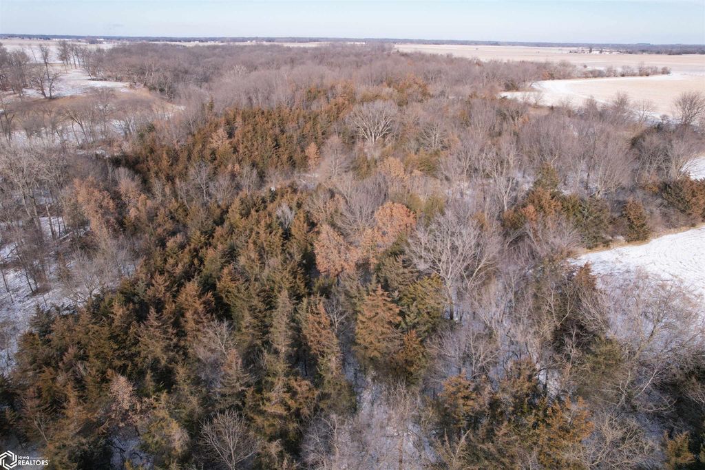 Photo of 17113 110th Avenue, Sperry, IA 52650 (MLS # 6335462)