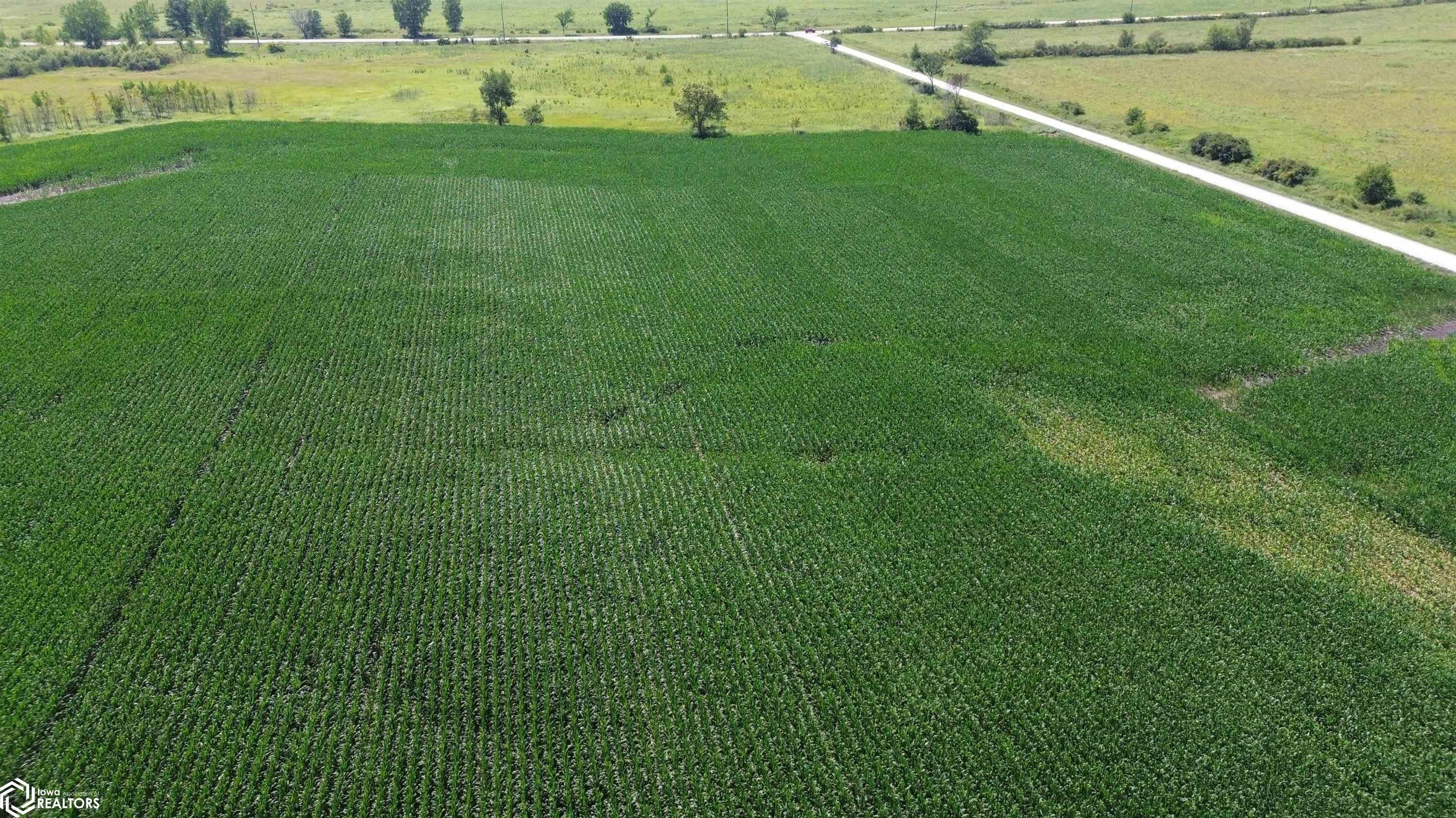 122 Acres Highway 21
