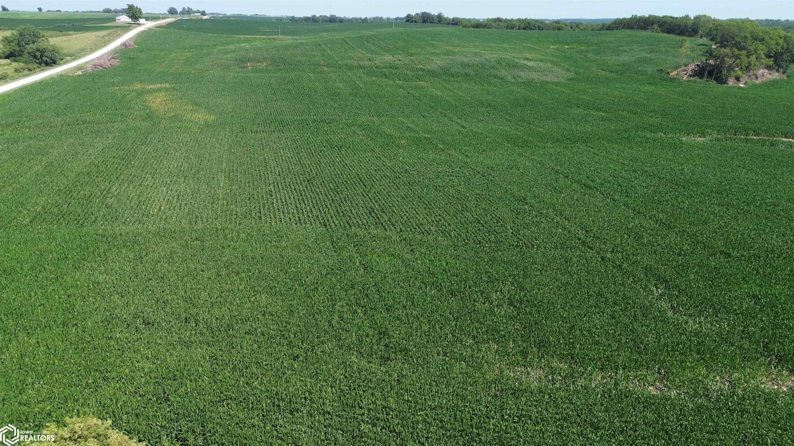 122 Acres Highway 21