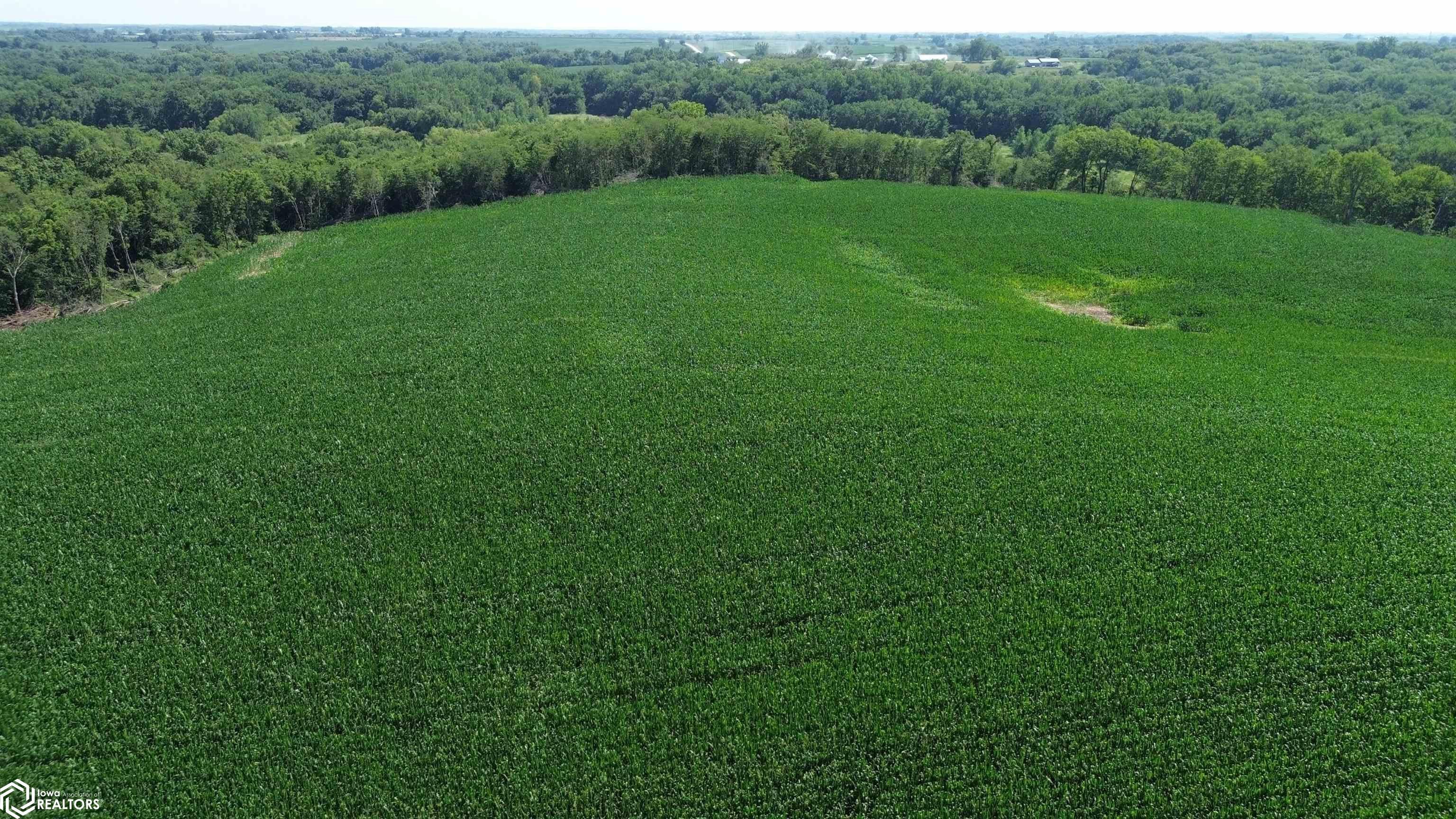 122 Acres Highway 21