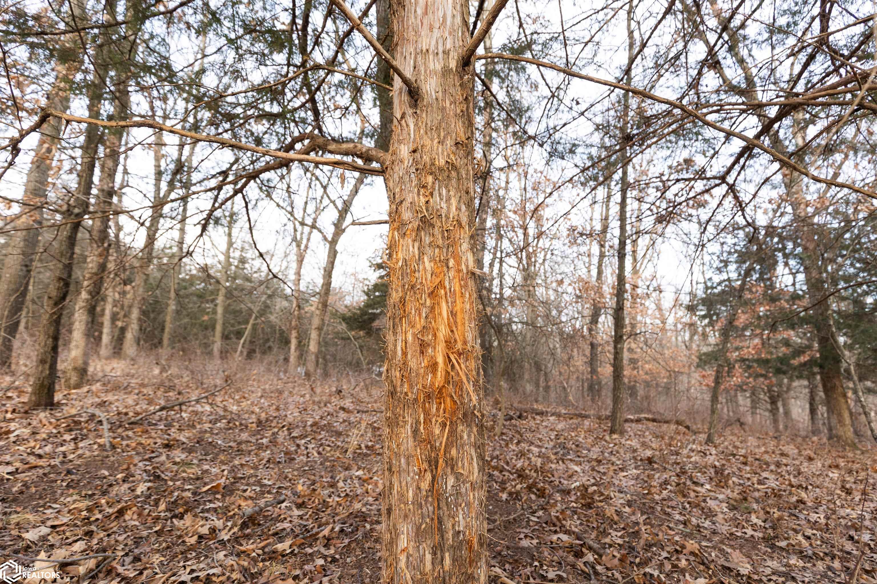 #WP001 Jasper Avenue