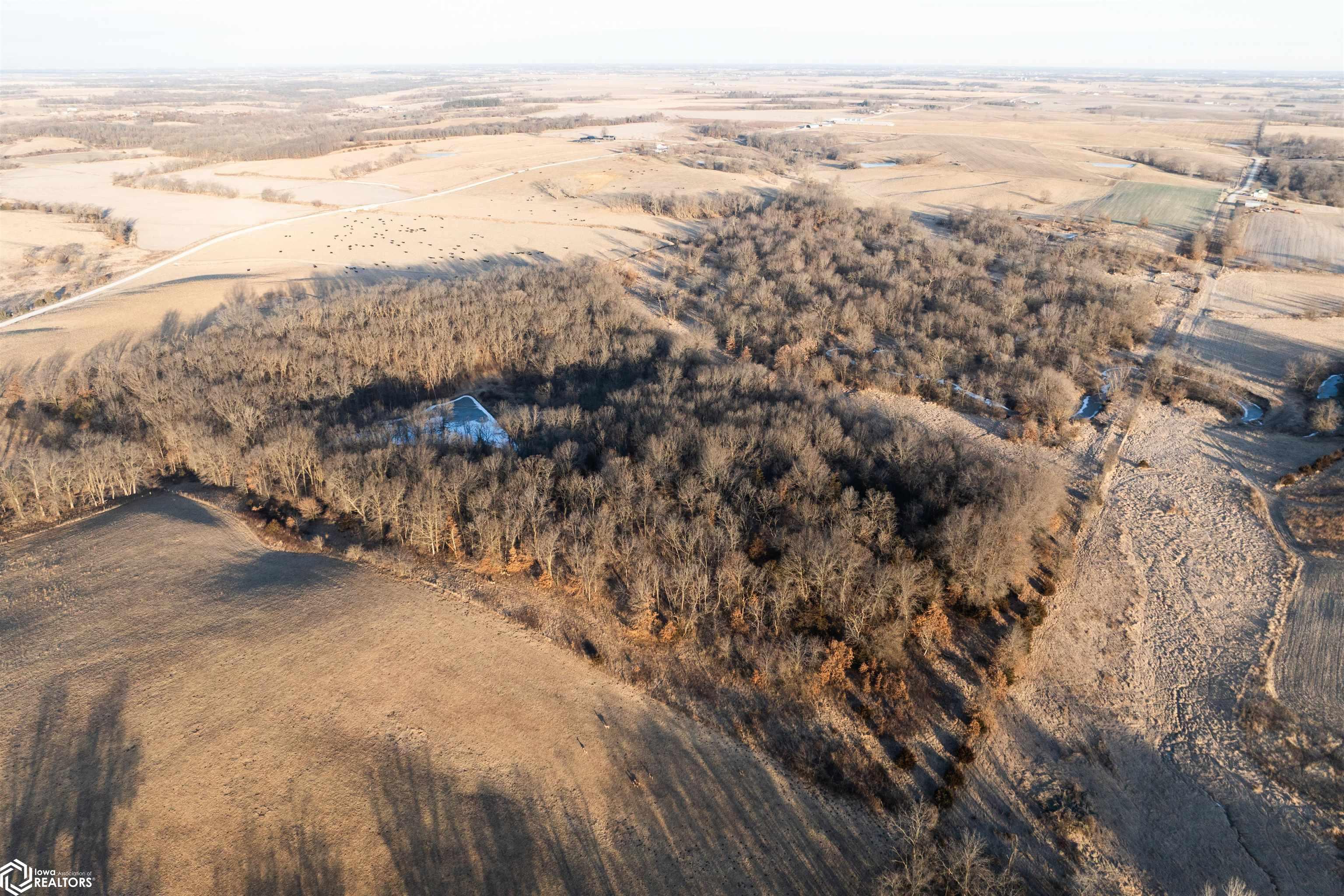 #WP001 Jasper Avenue