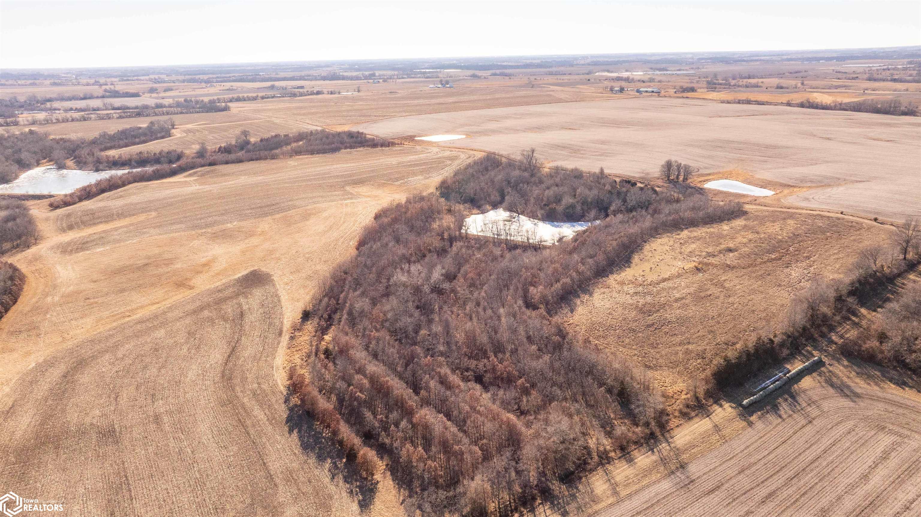 26043 Nuthatch Avenue