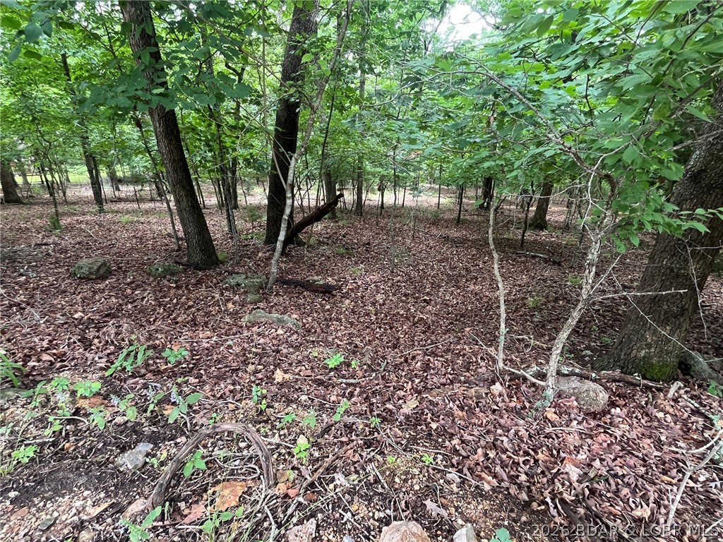 Lot 672 Clover Lane