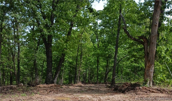 POSSUM TROT RD, STOVER, MO 65078 - Image 8e46b75690a42a02ba71aa1b6463fe2e/3691670658