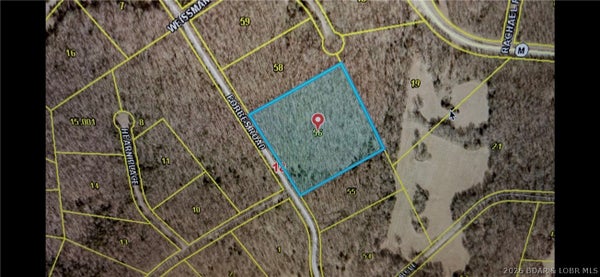 FORBES ROAD, EDWARDS, MO 65326 - Image e317d26703b95df5b4f5e91878f4ebe7/2840651144