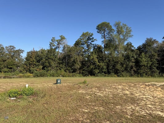 NHN LOT 41  MAMIE DRIVE, PICAYUNE, MS 39466 - Image 26ef67f5359c79d5715bb9c882e91c19/4259108068