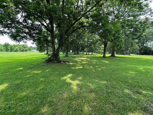 353 OLD HWY 24, FOXWORTH, MS 39483 - Image 471bf8fcbfd1a80cbc3ae012b099fa34/3716377751