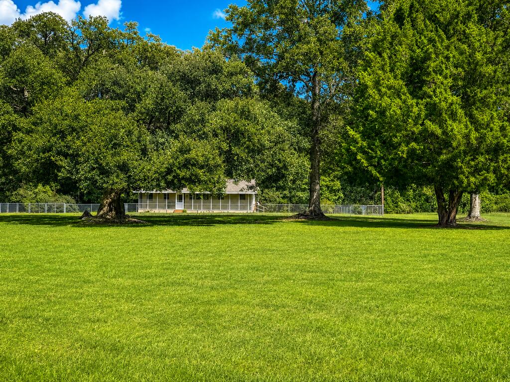 1017 South Beech