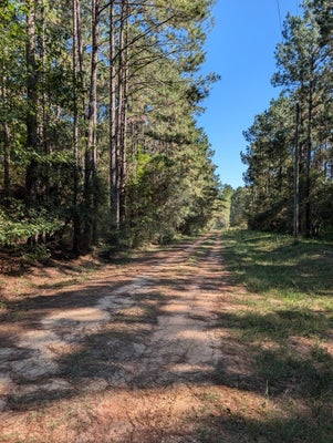 NHN THREE PONDS ROAD, POPLARVILLE, MS 39470 - Image cea7cb055b4baf357a1e9ae4e0ed8a68/1427607921