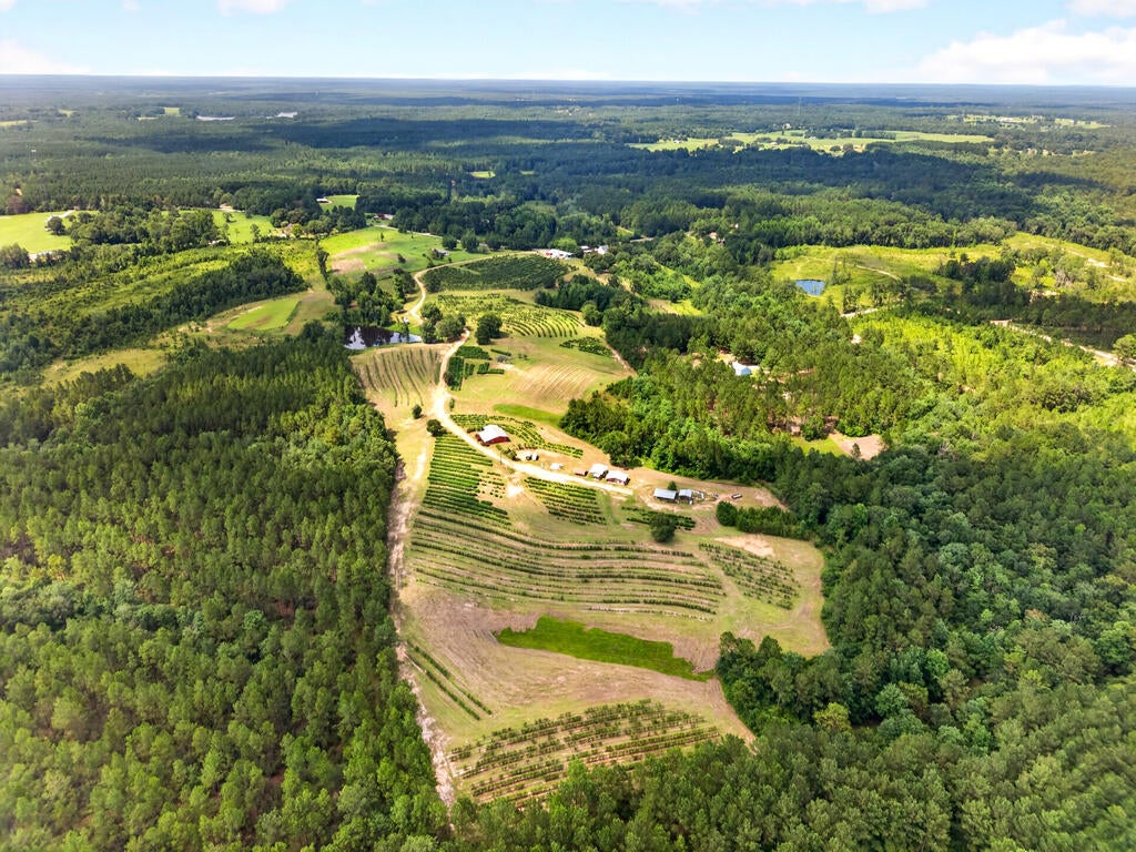 40 Acres Slade Woodward Rd