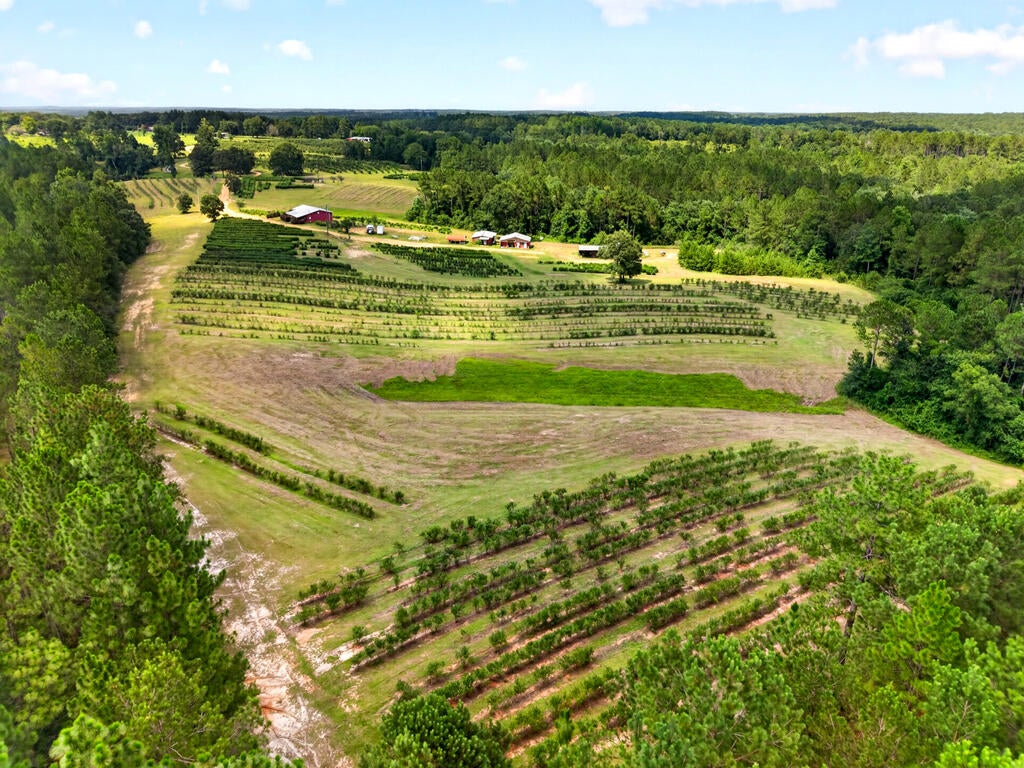 40 Acres Slade Woodward Rd