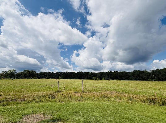 25 RACK RD # TRACT, PICAYUNE, MS 39466 - Image dd8a3272b83b6fadfa73d178a2655d74/4274343028