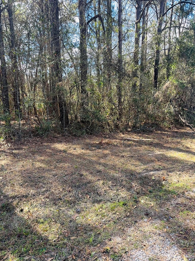 NHN E Lake Cypress Drive