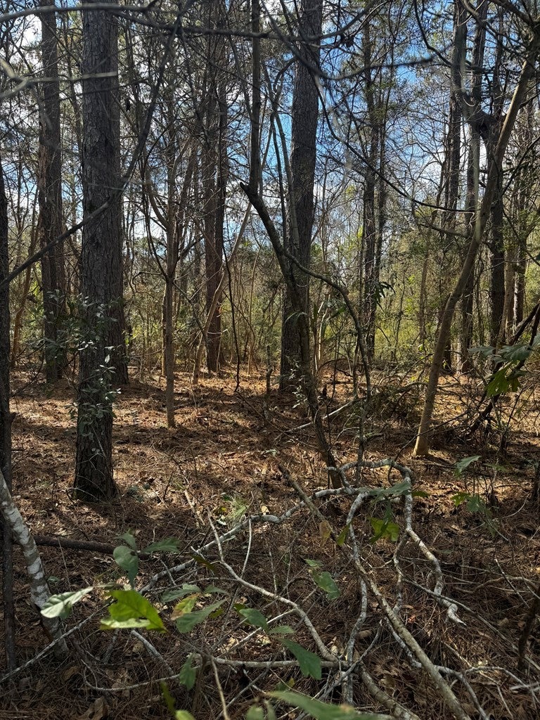 NHN E Lake Cypress Drive