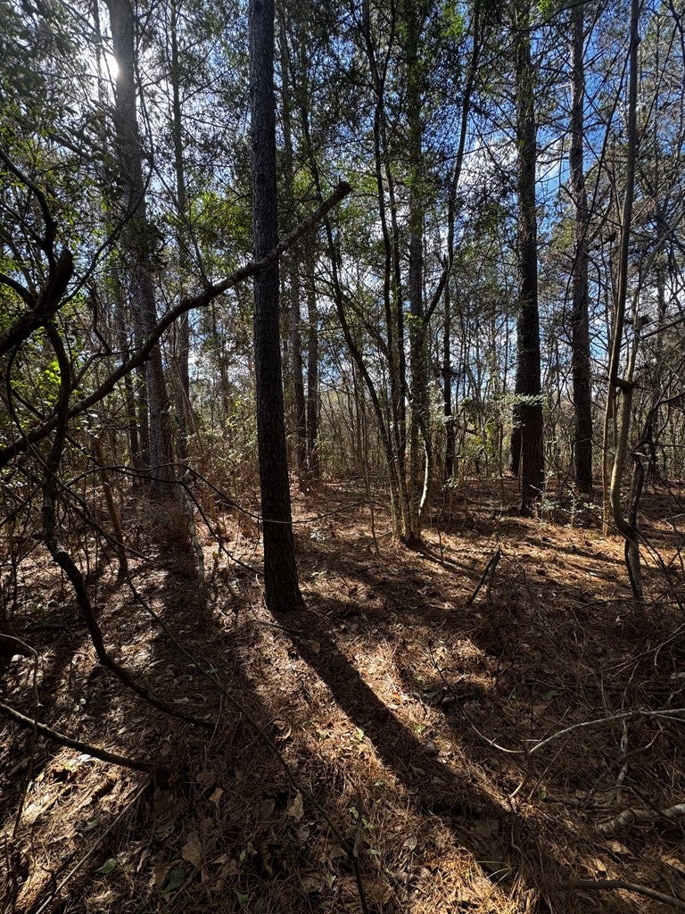 NHN E Lake Cypress Drive