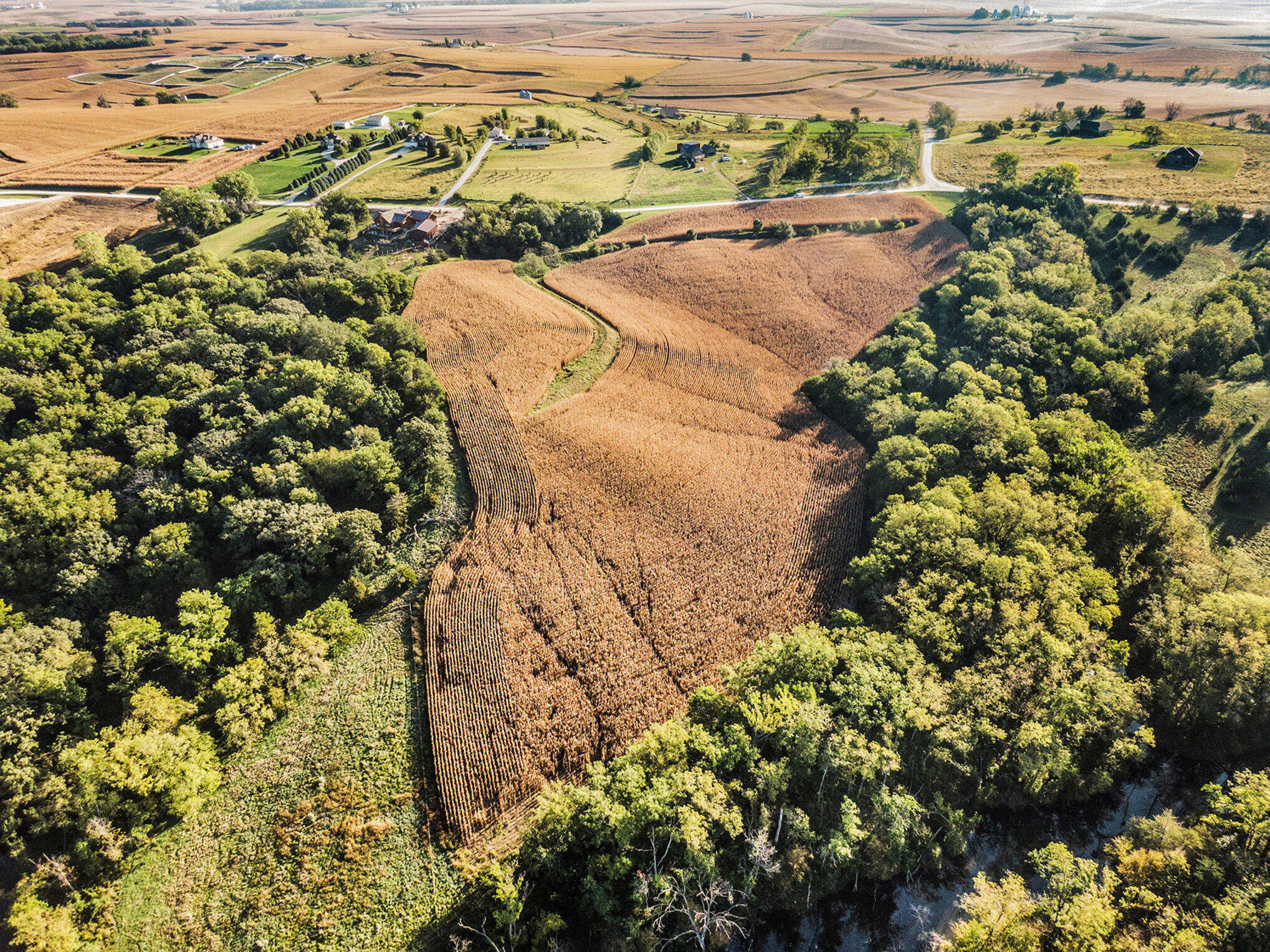 Logan, Iowa 51546, United States, ,Land,Active,247126