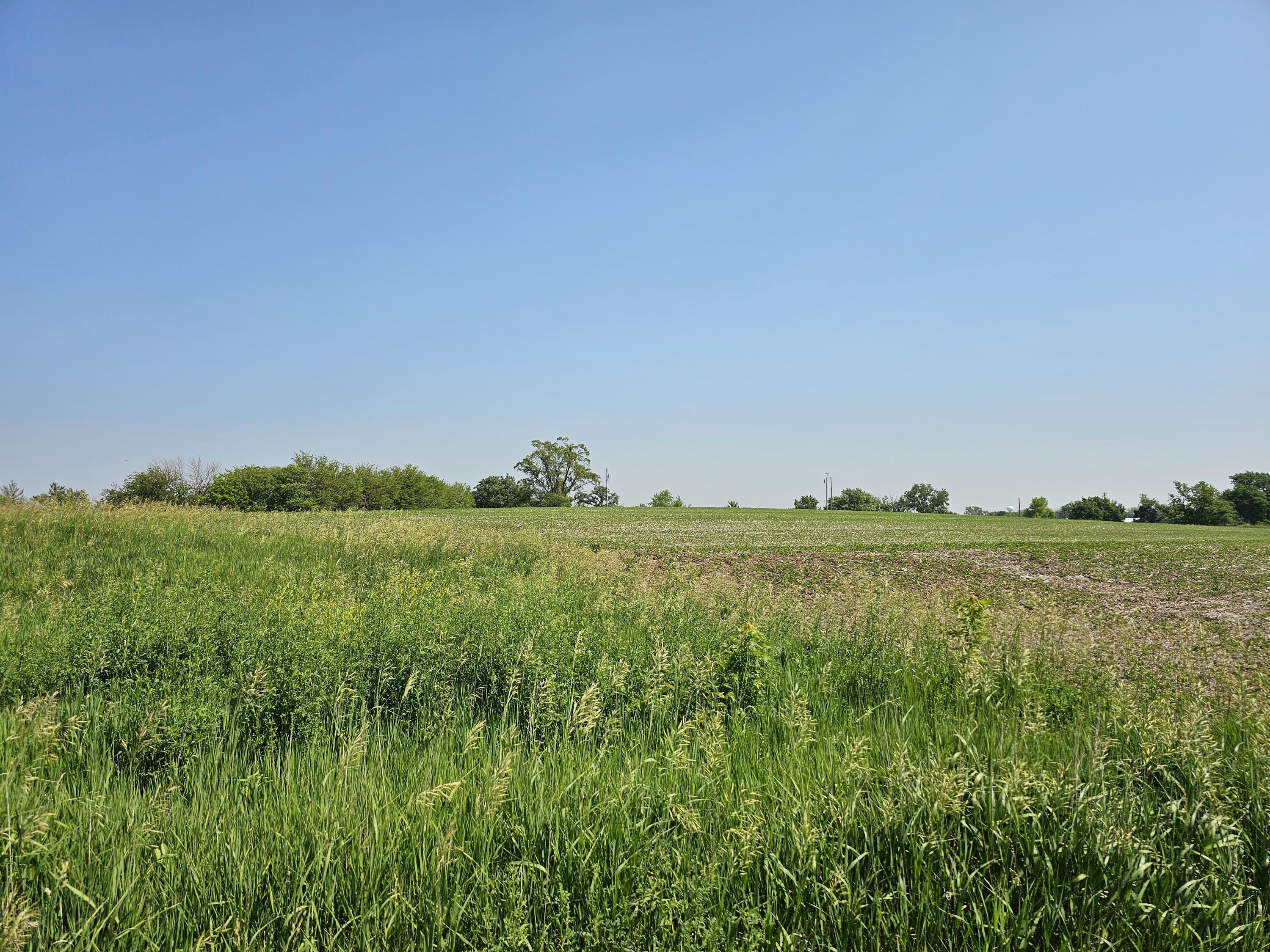 Oakland, Iowa 51560, United States, 4 Bedrooms Bedrooms, ,2 BathroomsBathrooms,Residential,Active,159783