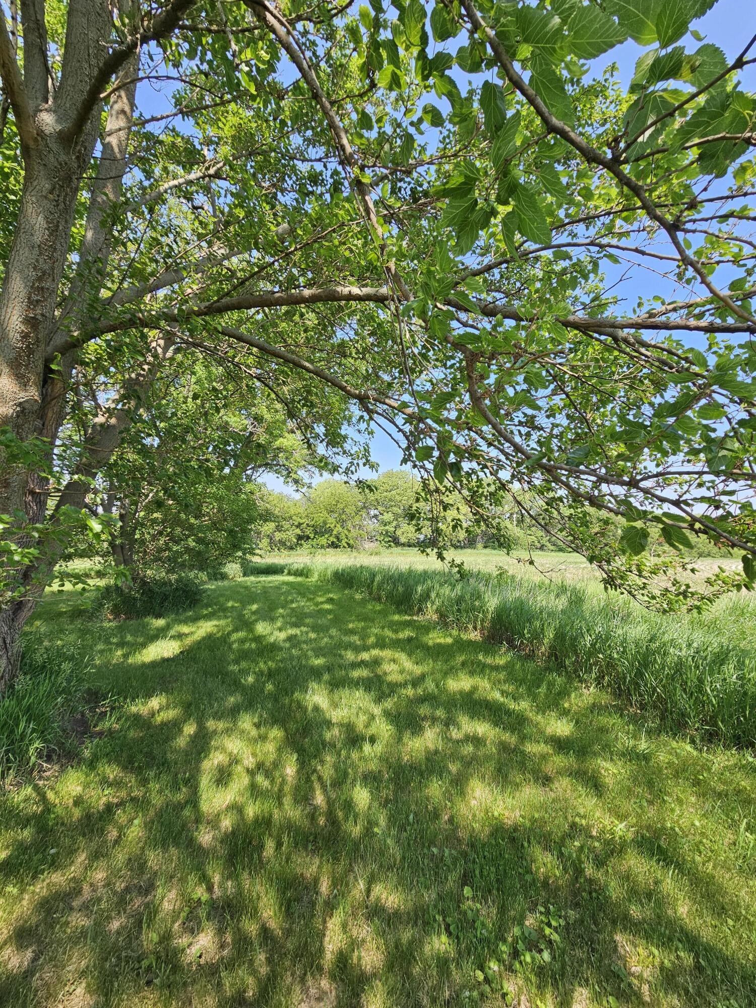 Oakland, Iowa 51560, United States, 4 Bedrooms Bedrooms, ,2 BathroomsBathrooms,Residential,Active,159783