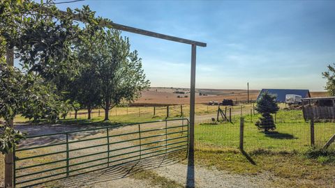 Photo of 19433 420TH Street, OAKLAND, IA 51560 (MLS # 26-365)