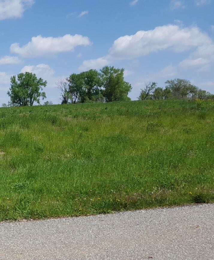 Missouri Valley, Iowa 51555, United States, ,Land,Active,247147