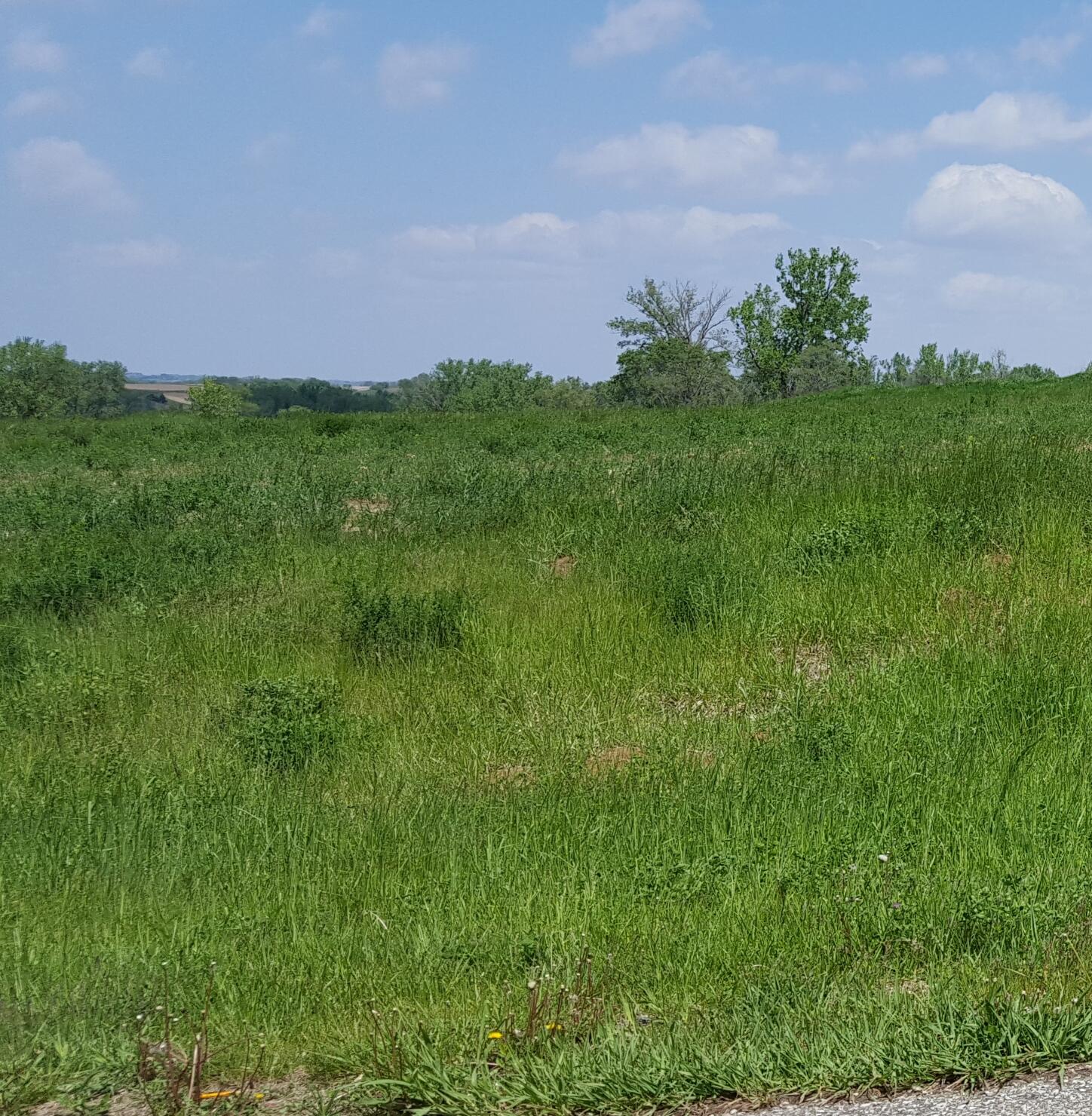 Missouri Valley, Iowa 51555, United States, ,Land,Active,247147