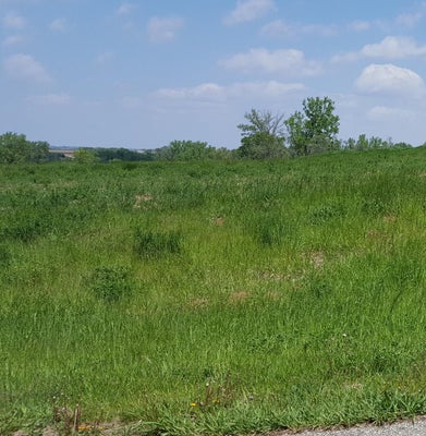 3351 MERIWETHER LEWIS LN, MISSOURI VALLEY, IA 51555 - Image b5e8b45c430060c4e43353be8f058cb0/898788108
