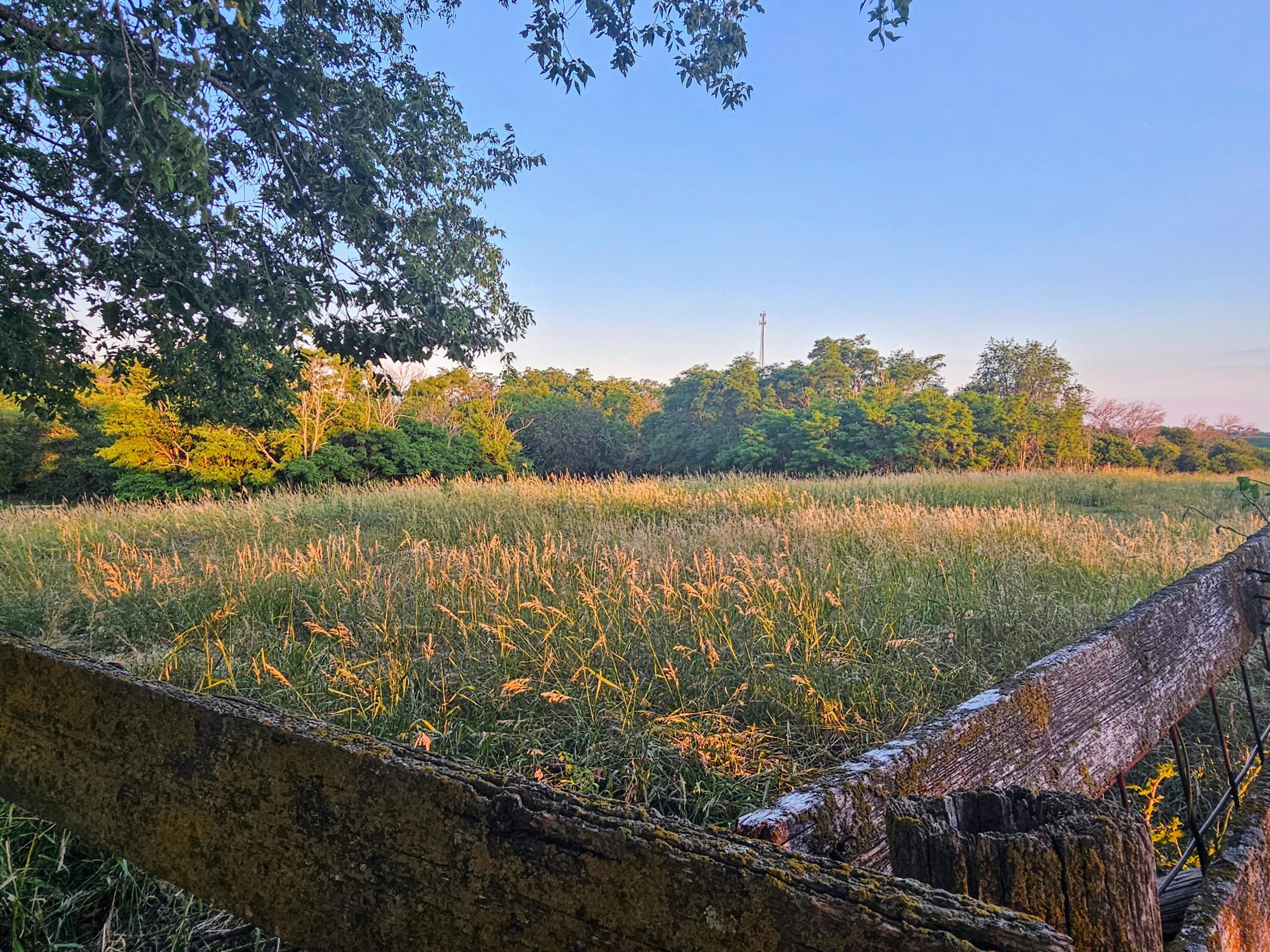 Oakland, Iowa 51560, United States, 3 Bedrooms Bedrooms, ,3 BathroomsBathrooms,Residential,Active,175605