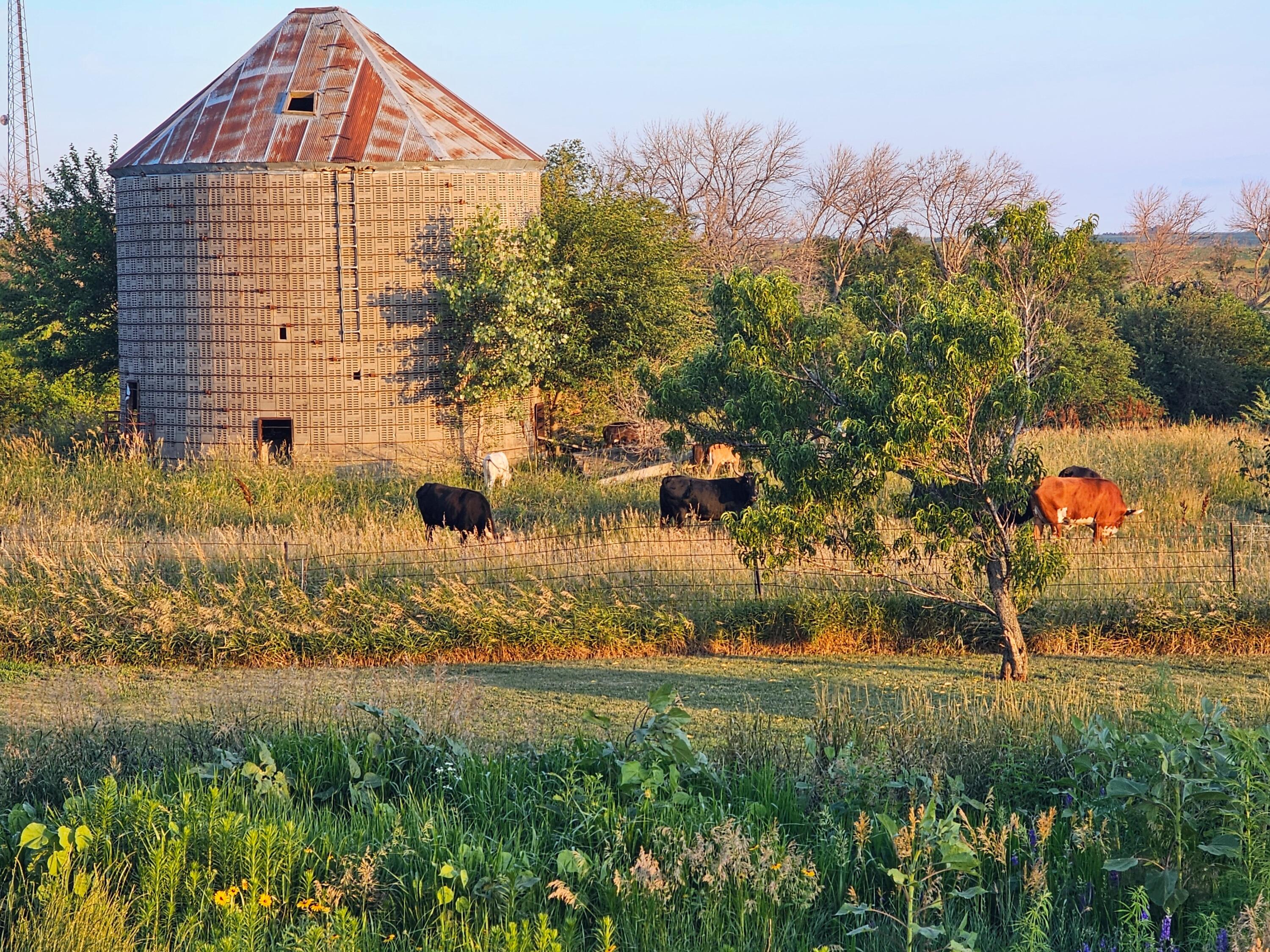 Oakland, Iowa 51560, United States, 3 Bedrooms Bedrooms, ,3 BathroomsBathrooms,Residential,Active,175605