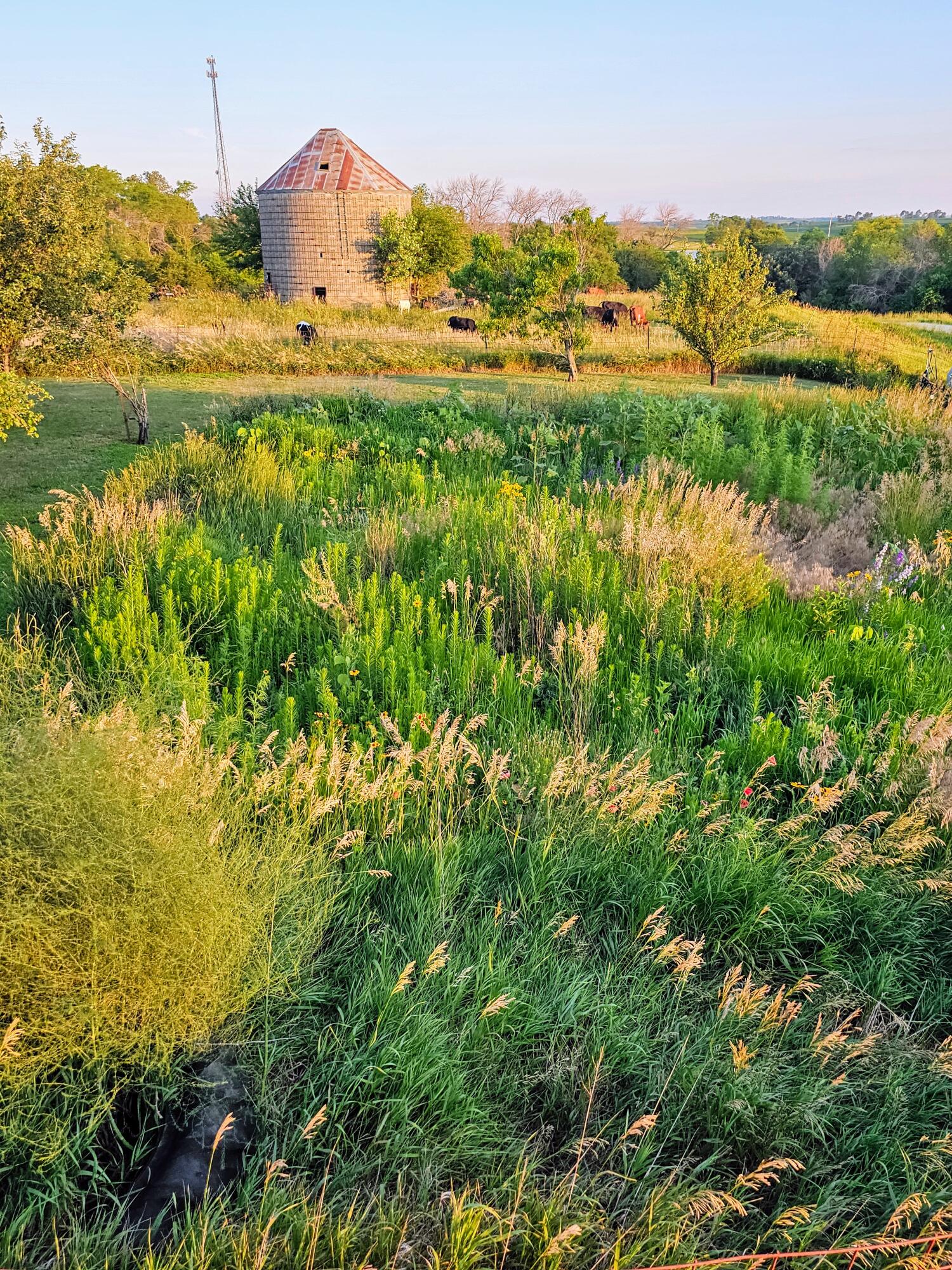 Oakland, Iowa 51560, United States, 3 Bedrooms Bedrooms, ,3 BathroomsBathrooms,Residential,Active,175605