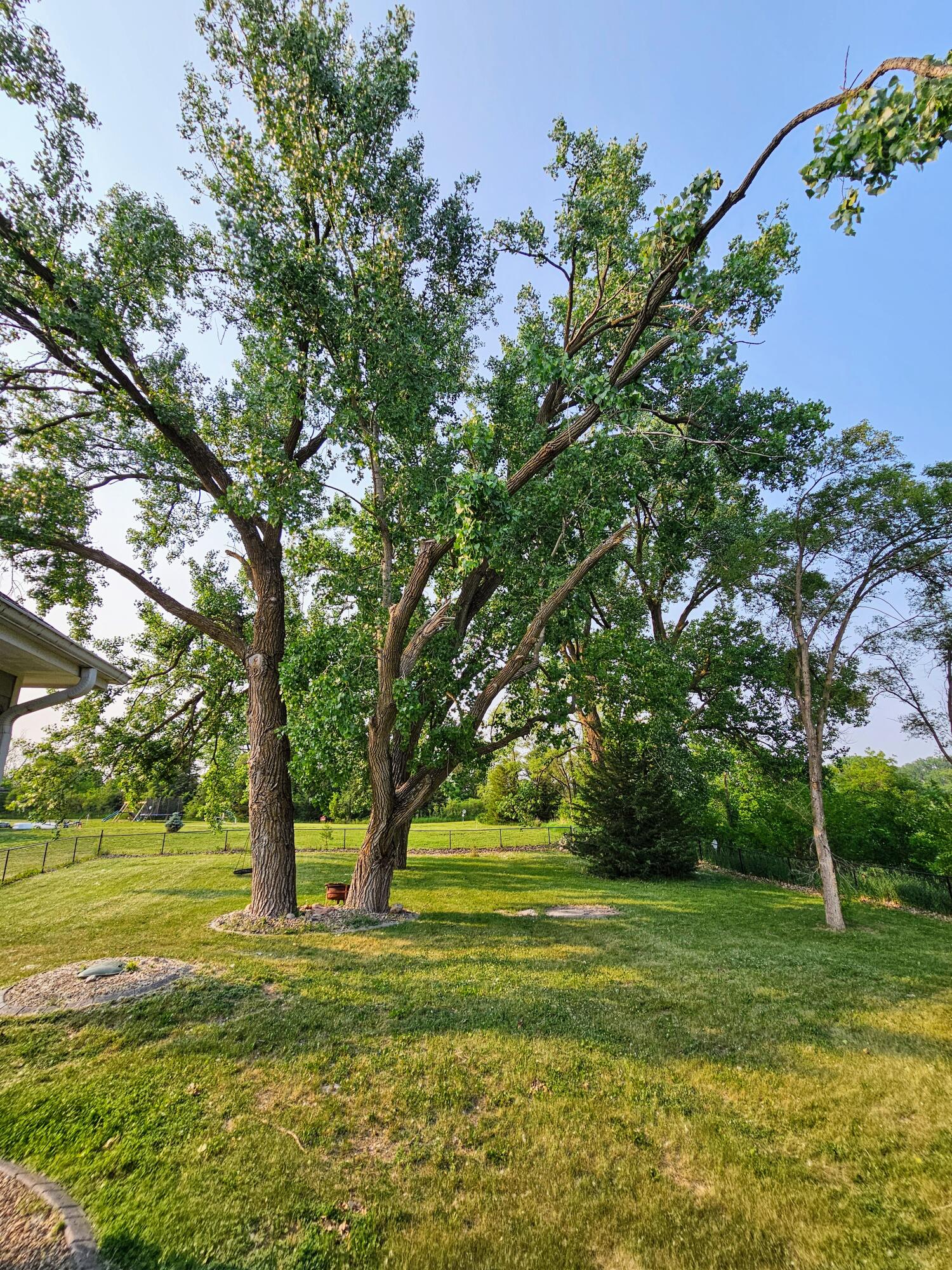 Carson, Iowa 51525, United States, 7 Bedrooms Bedrooms, ,5 BathroomsBathrooms,Residential,Active,147843