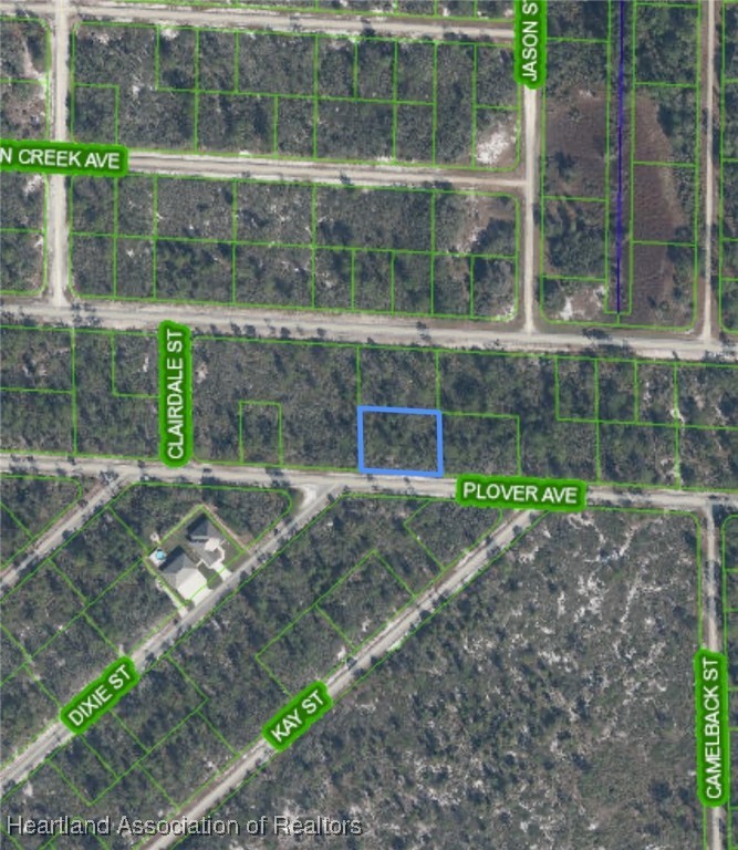 Lake Placid, Florida 33852, United States, ,Land,Active,20438