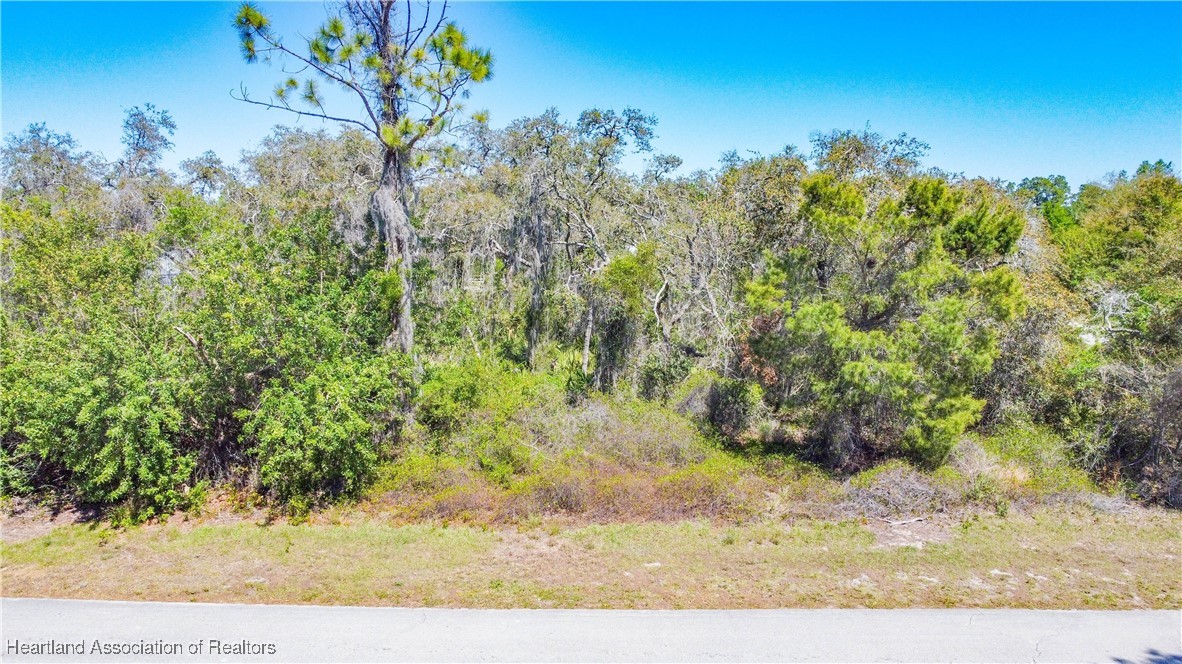 Lake Placid, Florida 33852, United States, ,Land,Active,91246