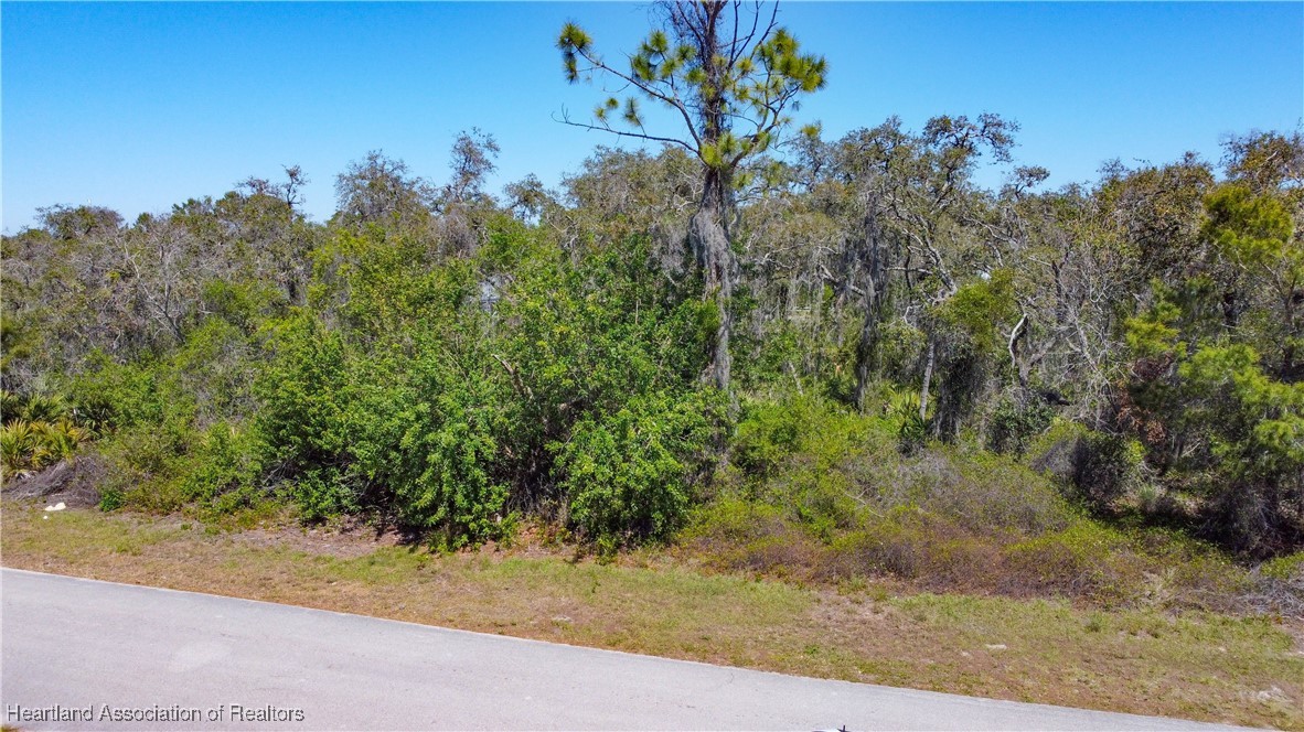 Lake Placid, Florida 33852, United States, ,Land,Active,91246