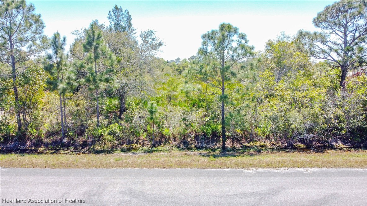 Lake Placid, Florida 33852, United States, ,Land,Contingent,91225