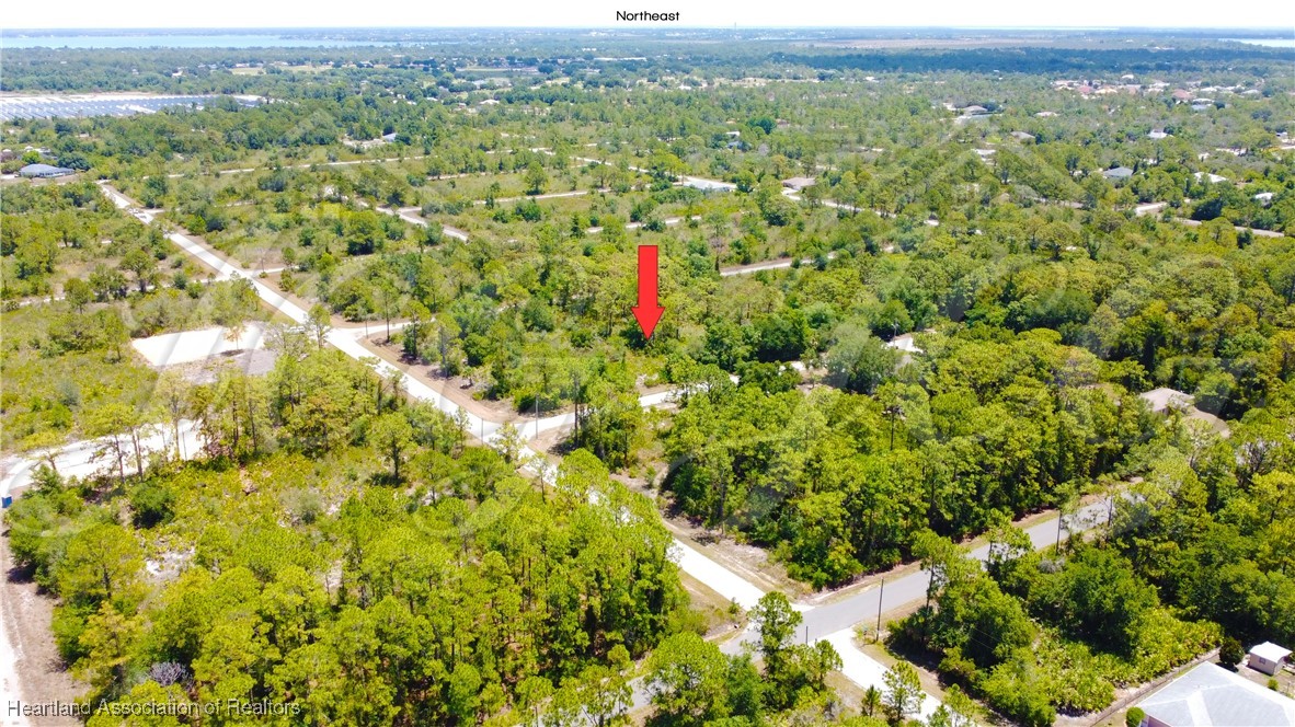 Lake Placid, Florida 33852, United States, ,Land,Contingent,9596