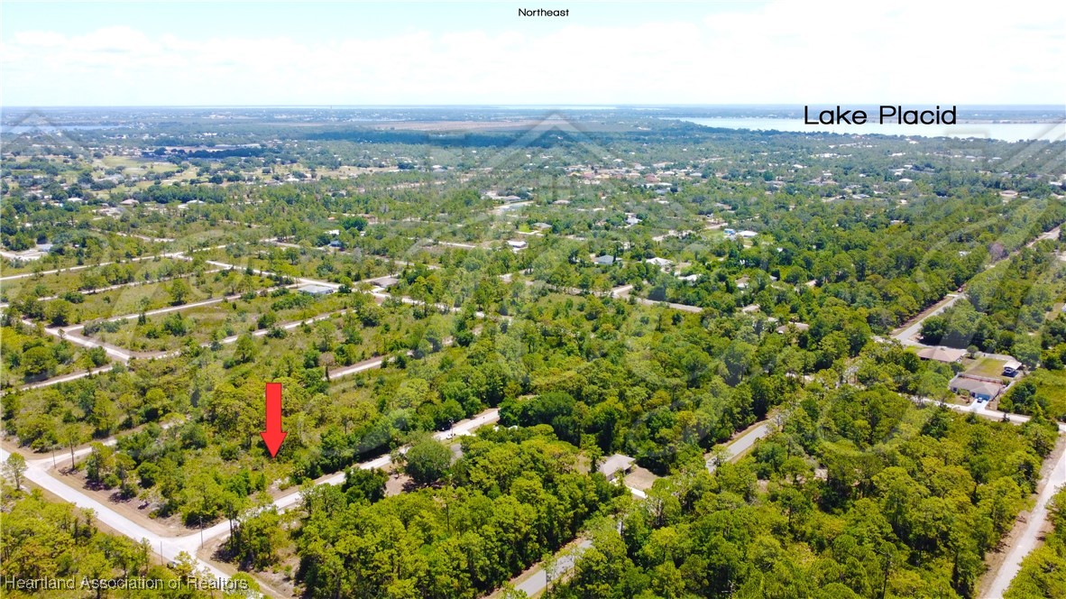 Lake Placid, Florida 33852, United States, ,Land,Contingent,9596