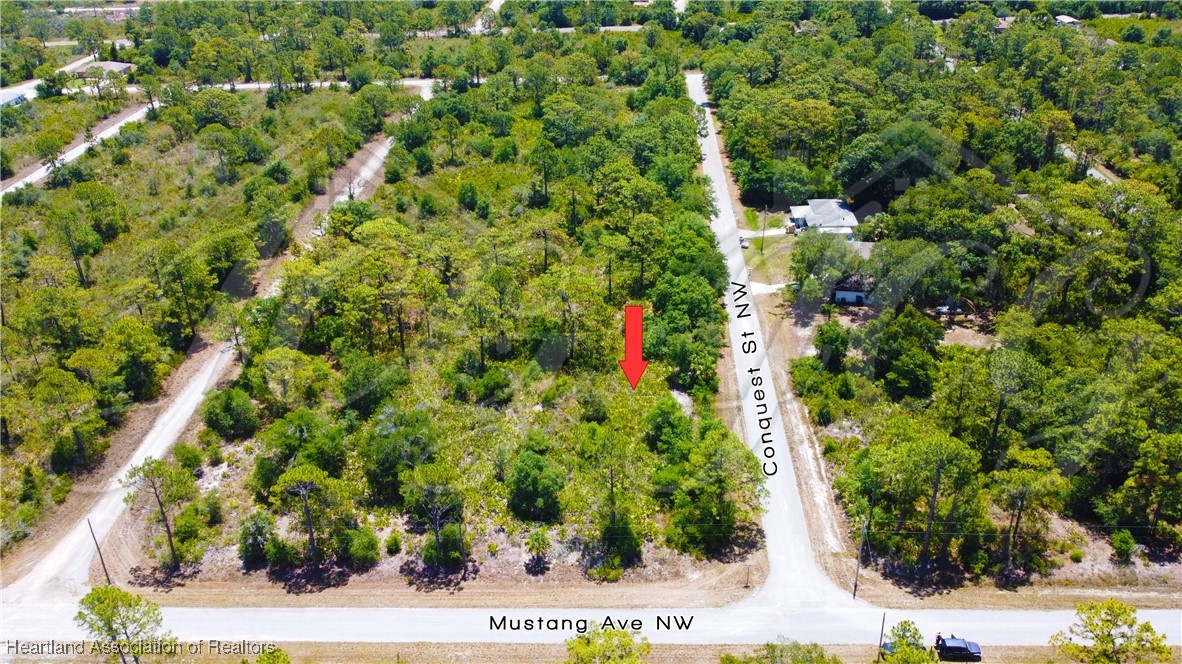 Lake Placid, Florida 33852, United States, ,Land,Contingent,9596