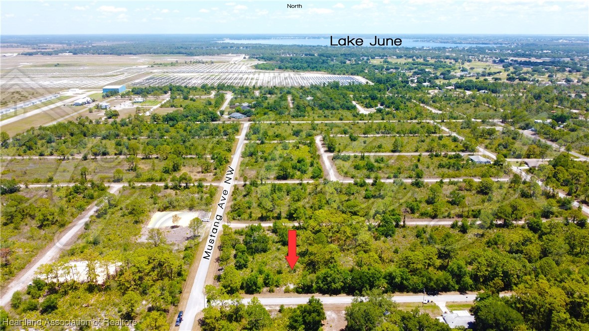 Lake Placid, Florida 33852, United States, ,Land,Contingent,9596